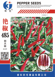 科光种苗“艳椒485”辣椒、“秋实1号”甘蓝分别入选2025年农业主导品种、农作物优良品种推广目录